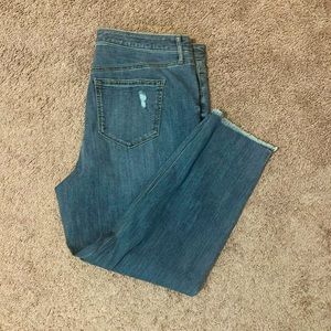 NWT Evri Jeans
